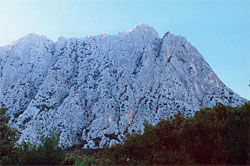 Monte Cusidore